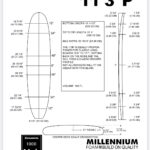 113P